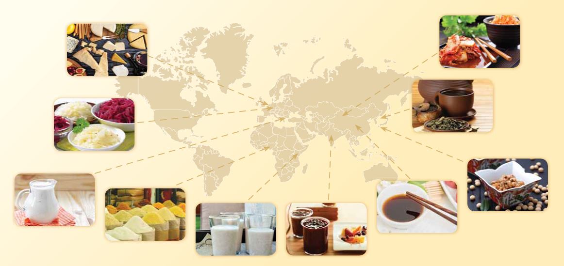Typy fermentovaných potravin ve světě